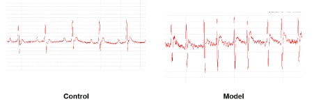 1686553148892163.jpg 1.jpg